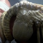 Свежий трейлер Alien: Isolation